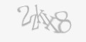 Защитный код