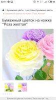 i5PKKrMy8bg