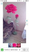 kgw1LScdM2Y