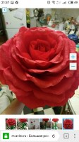 nWA85yk7vfU